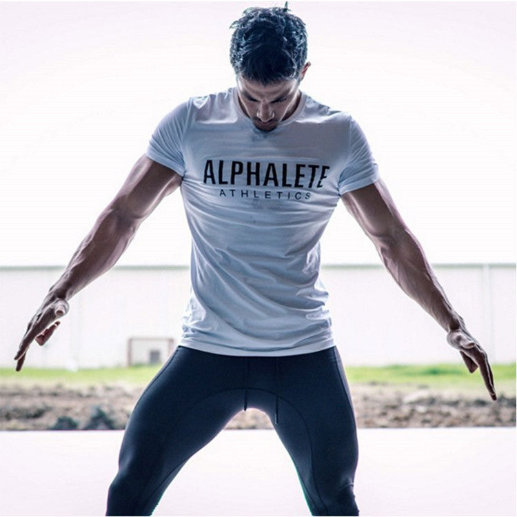 Men's Quick-Dry Cotton Training T-Shirt — Muscle Fit Workout Tee
