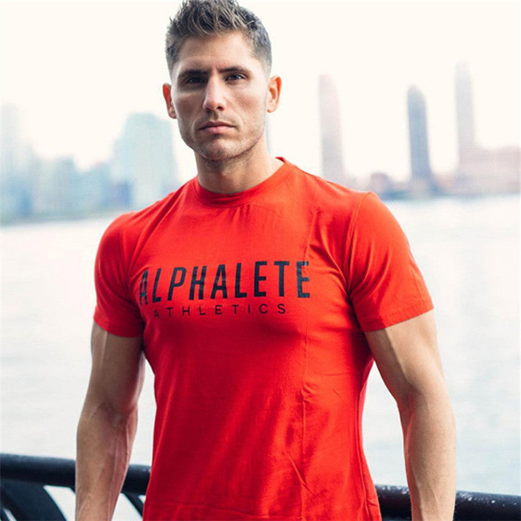 Men's Quick-Dry Cotton Training T-Shirt — Muscle Fit Workout Tee